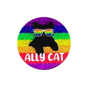 Vue detaillee de broche chat noir arc-en-ciel avec finition pailletee et texte ally cat.