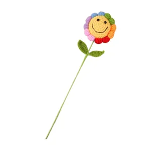 Handmade crochet rainbow smiley flower knitted bouquet aesthetic room decor gift plant toy.