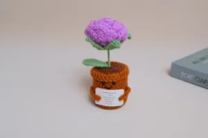Detailed shot of the handmade crochet potted flower with a cute face holding an emotional support sign.