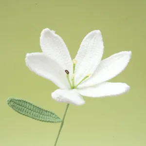 Handmade crochet white lily flower detail shot, exquisite yarn flower craft and green leaf texture.