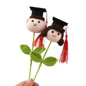 Handmade crochet graduation doll couple flowers cute knitted cartoon graduation gift for students