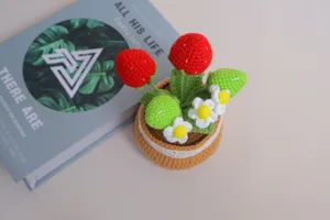 Handcrafted crochet potted plant handmade strawberry flower pot knitted wool desktop decor