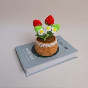 Handmade crochet strawberry potted plant artificial flower knit home table decor ornament