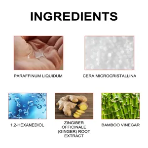 Kräuterfußpflaster natürliche Ingwerextrakt Inhaltsstoffe Detail Infografik Anzeige für Wellness.