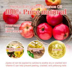 Herbal extraction nail care oil with apple extract, jojoba oil and vitamin E for dry nails.