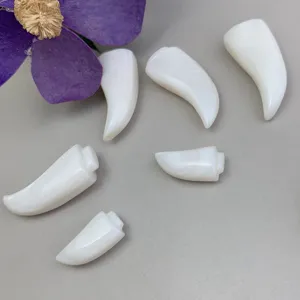 Natural White Mother Of Pearl Wolf Tooth Cabochons Shell DIY Jewelry Accessories Inlaid Pendant Charms Findings Components