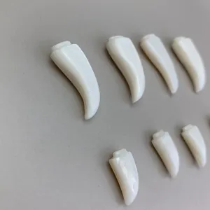 Natural white mother-of-pearl wolf tooth cabochon for DIY pendant jewelry making details.