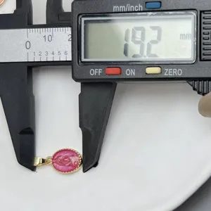 Guadalupe hanger roze geëmailleerde ovale bedel gedetailleerd overzicht nauwkeurig.