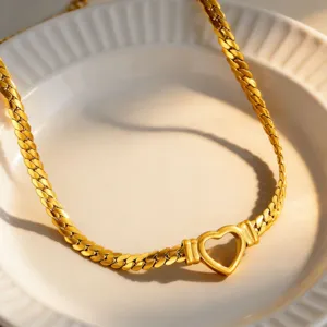 Holle platte slangenketting hart halsketting, titanium staal sleutelbeen ketting detail.