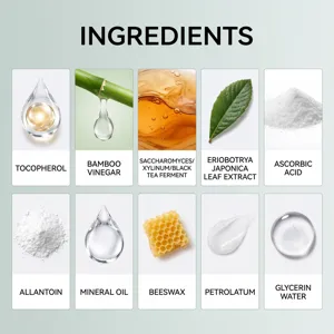 Detailed infographic showing key natural ingredients and active components of foot care patches.