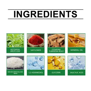 Detailed ingredients infographic of foot care patch showing natural herbal and active extracts.
