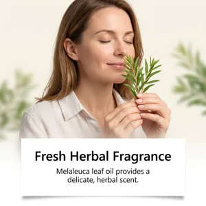 Theeboom kruidengeur detail met natuurlijke botanische ingrediënten en rustgevend.