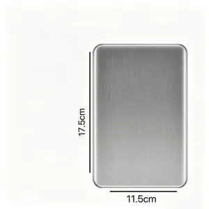 Stainless steel ice plate for cooler bag, 17.5x11.5cm metal freezing board for food.