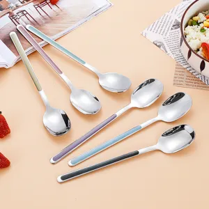 304 roestvrij staal lange lepel set, kleurrijke handvat soeplepel voor de eettafel.