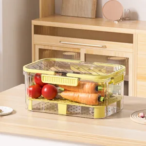 Clear Plastic Double-Layer Drainage Storage Box Food Fresh-Keeping Container with Lid