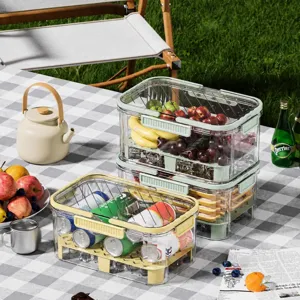 Portable double layer clear storage box outdoor picnic food container stackable organizer