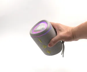 Portable Bluetooth speaker with fabric mesh body, RGB LED lights and T&G logo, gray.