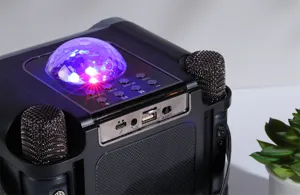 Portable wireless Bluetooth karaoke speaker with dual microphones and colorful disco ball light.