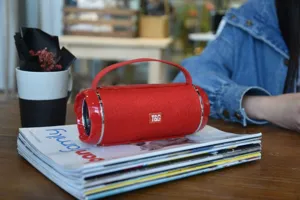 Tragbarer wasserdichter kabelloser Bluetooth-Lautsprecher mit Griff, satter Bass-Desktop-Sound.