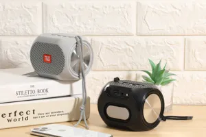 Tragbarer Bluetooth-Lautsprecher mit Doppelmembran, wasserdichtem Design und USB TF-Karten-Support.