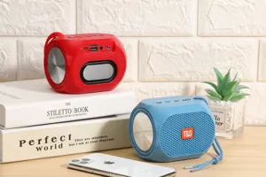 Detailansicht des tragbaren kabellosen Bluetooth-Lautsprechers mit Dual-Membran und Bass.