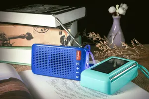 Tragbarer solarer Bluetooth Lautsprecher Funkradio TWS Outdoor Audio Detail in zwei Farben.