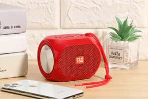 Tragbarer wasserdichter Bluetooth-Lautsprecher in Rot mit Doppelmembran für Outdoor-Musik