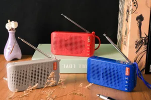 Tragbarer kabelloser Bluetooth-Lautsprecher mit FM-Radio und praktischer Teleskopantenne.
