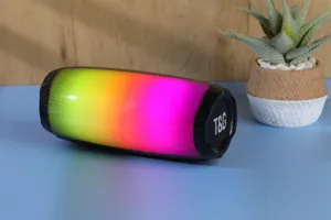 Haut-parleur Bluetooth sans fil portable TG366 avec lumières LED colorées, caisson de basses.