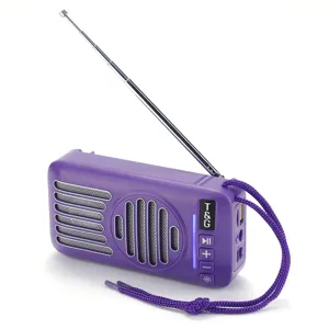 Detailansicht des tragbaren lila kabellosen Bluetooth-Lautsprechers mit Antenne und Tasten.