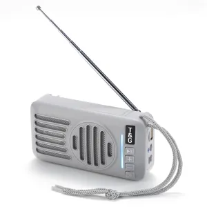 Nahaufnahme des tragbaren kabellosen Bluetooth-Lautsprechers in Grau mit Teleskopantenne.