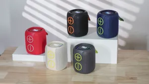 Mini altoparlante bluetooth portatile con bassi potenti e funzione TWS per musica