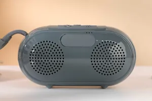 Portable wireless Bluetooth speaker with dual drivers, grey design, and handy lanyard.