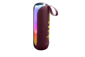 Haut-parleur Bluetooth sans fil portable avec lumières LED et couplage TWS pratique.