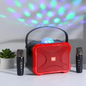 Portable wireless bluetooth karaoke speaker with dual mics and colorful disco party lights.