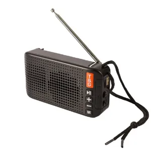Detailansicht des tragbaren Bluetooth-Lautsprechers mit Teleskopantenne und Bedientasten.