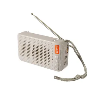 Tragbarer kabelloser Bluetooth Lautsprecher mit UKW Radio, Antenne und praktischem Trageband.