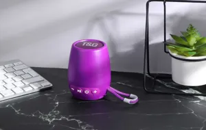 Altoparlante Bluetooth portatile wireless con TWS, mini design stereo viola.