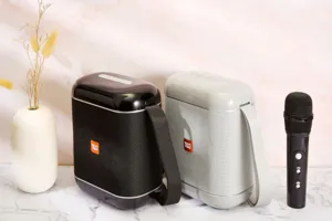 Portable Bluetooth karaoke speaker with microphone, dual color wireless sound system detail.