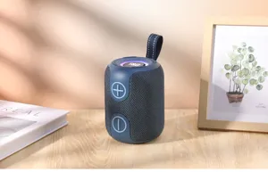 Enceinte Bluetooth sans fil portable avec des basses puissantes et une sangle élégante.
