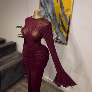 Sheer mesh polka dot long sleeve ruched maxi dress with slip, elegant women party wear