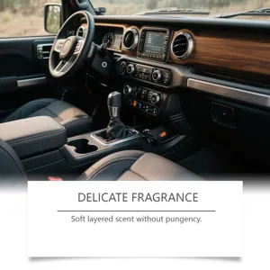 Car air freshener interior scent long lasting fragrance diffuser for vehicle fresh air.