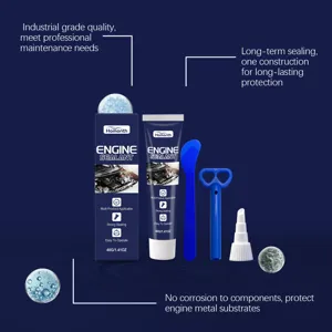Kit de mastic pour moteur auto et moto, étanche, séchage rapide, tube de 40g net.