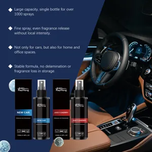 RAYHONG Car Air Freshener Spray 100ml Long Lasting Fragrance Odor Eliminator for Auto Home