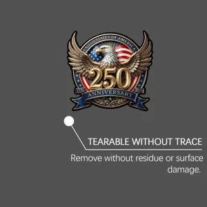 Gedetailleerd overzicht van de USA adelaar autosticker voor het jubileum, spoorloos verwijderen.