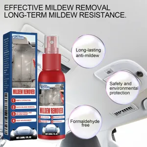 Spray antimuffa per auto RAYHONG pulisce efficacemente la muffa su sedili e tetto.