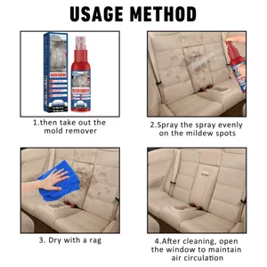 Spray antimuffa per interni auto, sedili e tappetini. Guida facile in 4 passaggi per la pulizia.