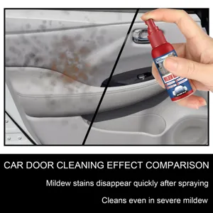 Vista dettagliata dell'effetto antimuffa sul pannello porta auto con spray da 30ml.