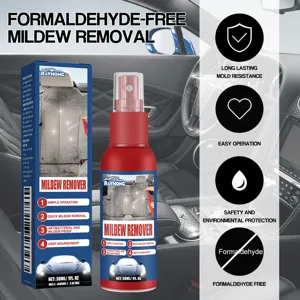 Spray antiruggine e antimuffa auto RAYHONG 30ml per pulizia e manutenzione interni sedili.