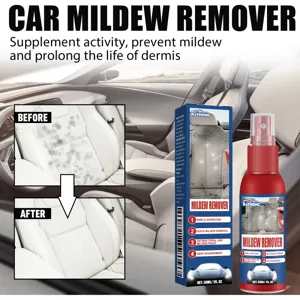 RAYHONG spray antimuffa per auto per pelle interna detergente per muffa 30ml